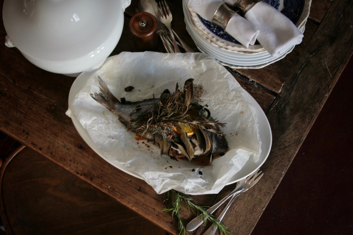 Dorade Royale – Christmas is&nbsp;Coming