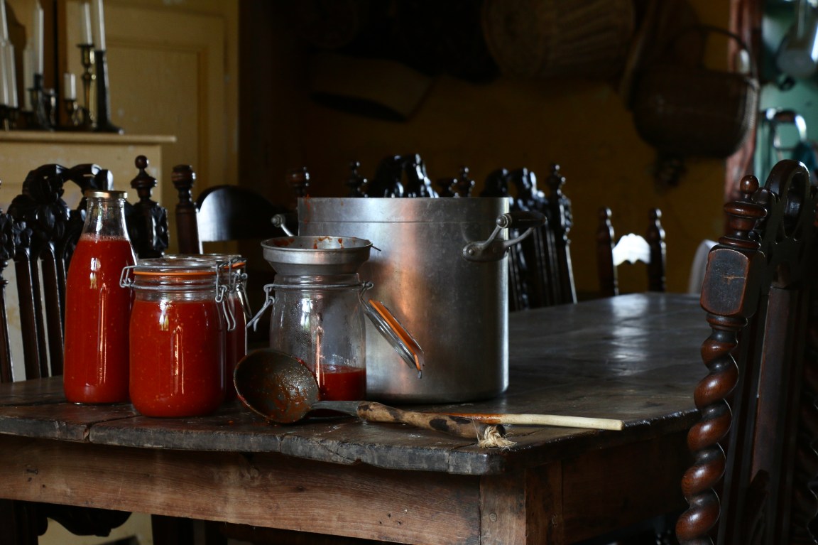Summer of Old Gals or Drinking Wine with my Back against the Warm Stones of the&nbsp;House