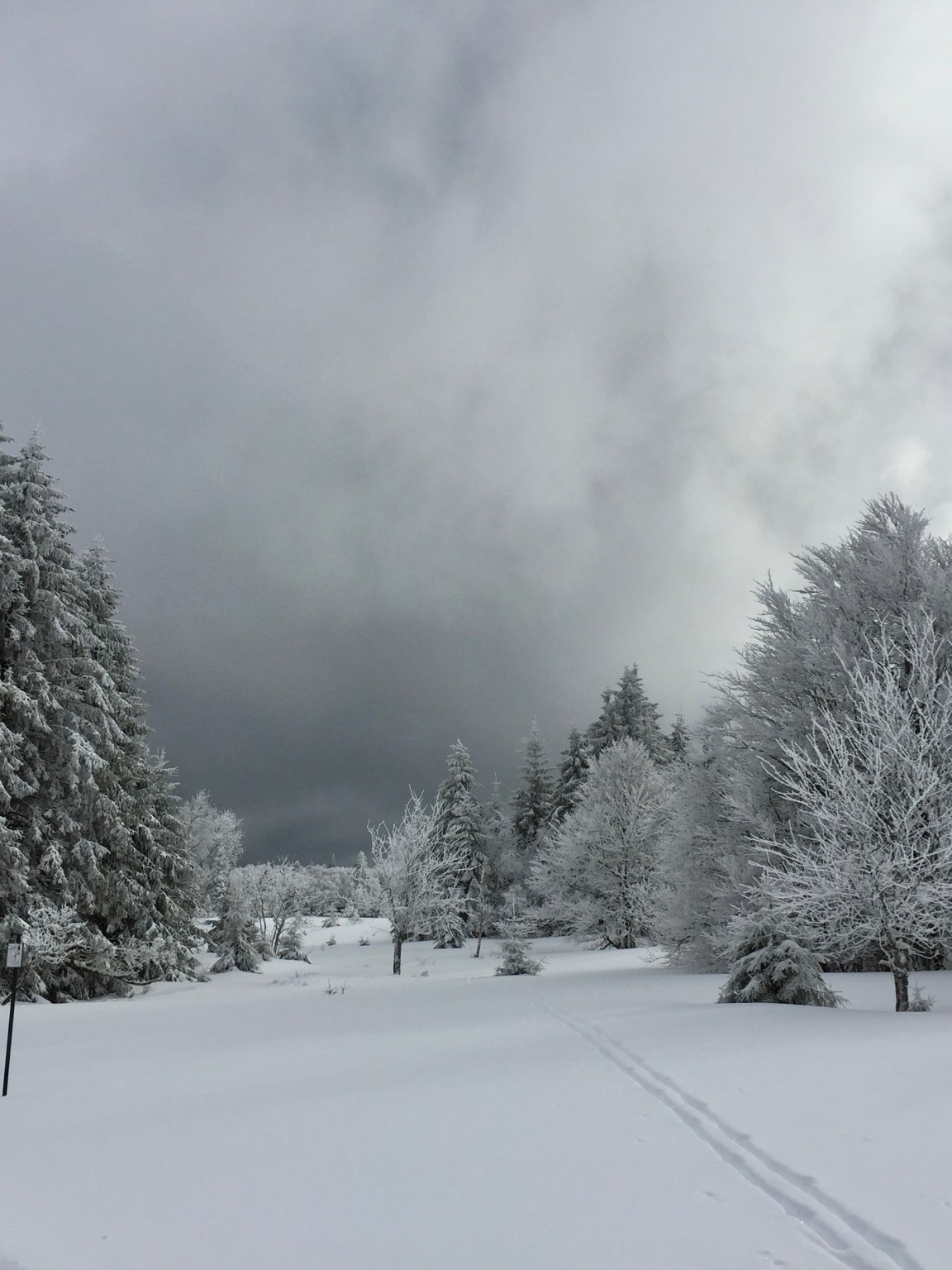 #15 Les Poissonchats Wondrous Advent Calendar –&nbsp;Skiing