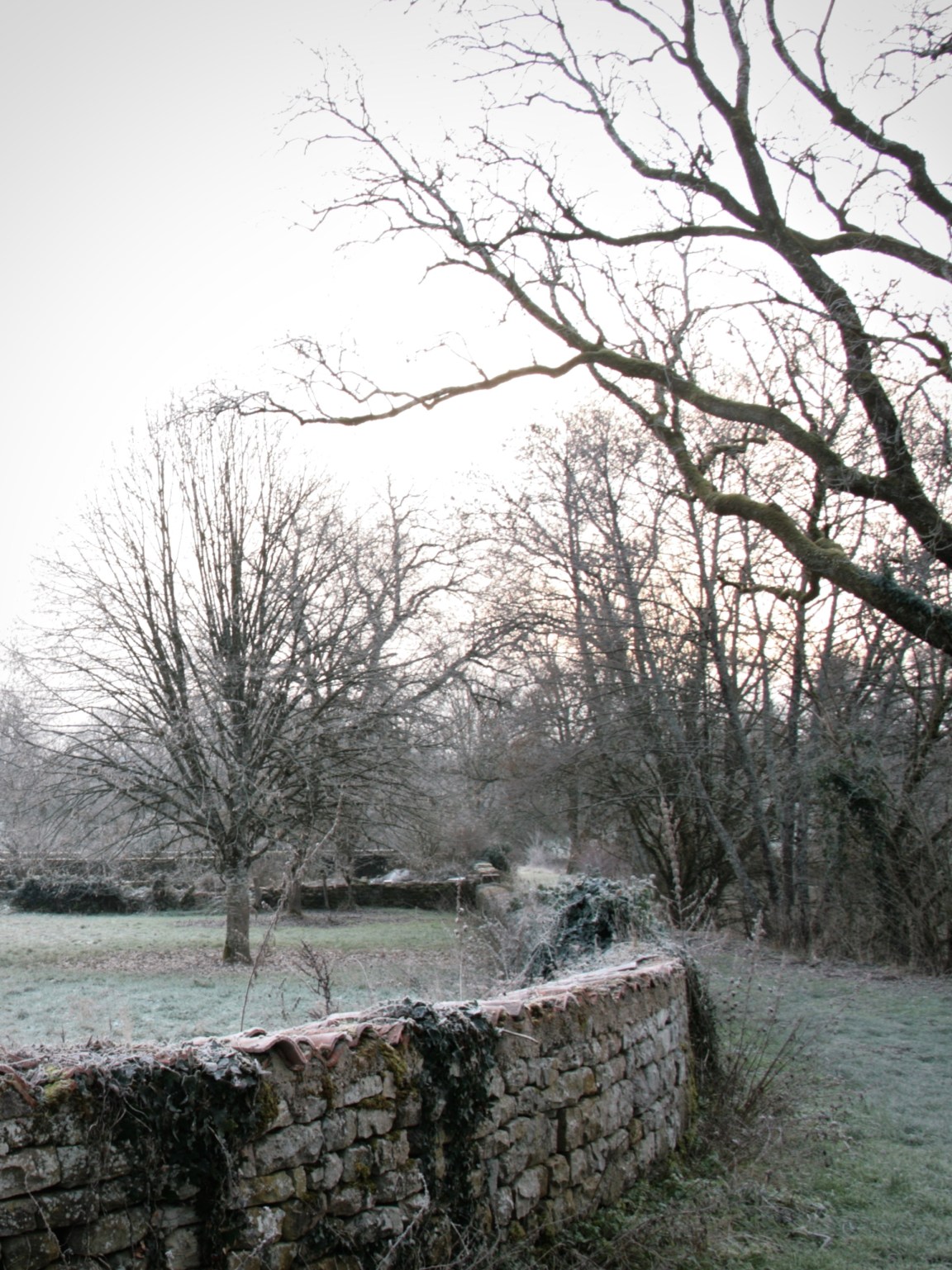 #11 Les Poissonchats Wondrous Advent Calendar – Let’s Go for a Walk? 