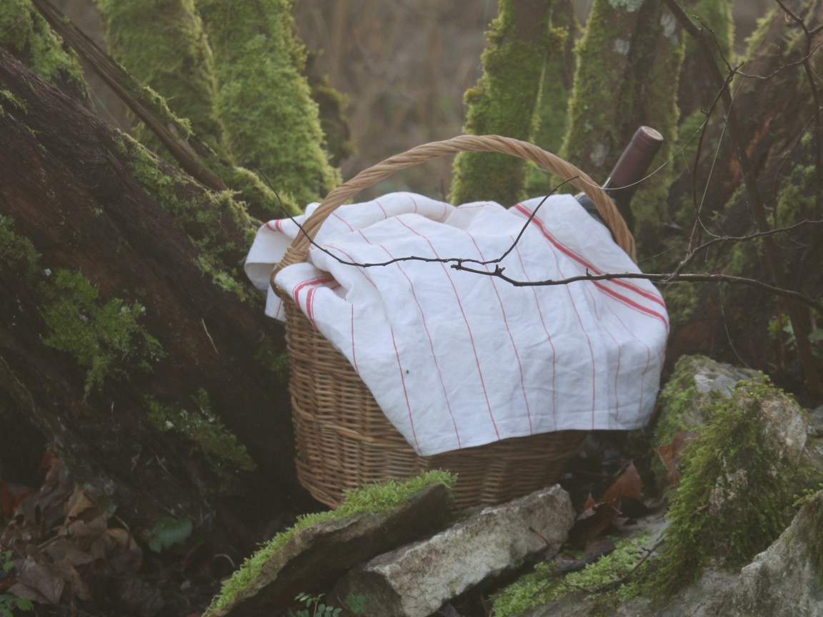 Les Poissonchats Wondrous Advent Calendar – Red Riding Hood and an Ordinary&nbsp;Cake